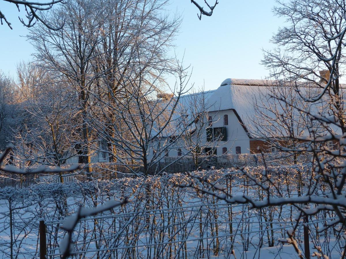 Hesselhogaard Bed & Breakfast Grindsted Luaran gambar